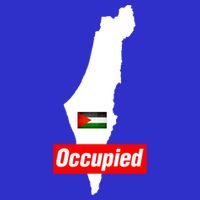 Occupied Palestine Free Gaza Funny Gift Kids T-Shirt