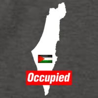 Occupied Palestine Free Gaza Funny Gift Vector Backpack