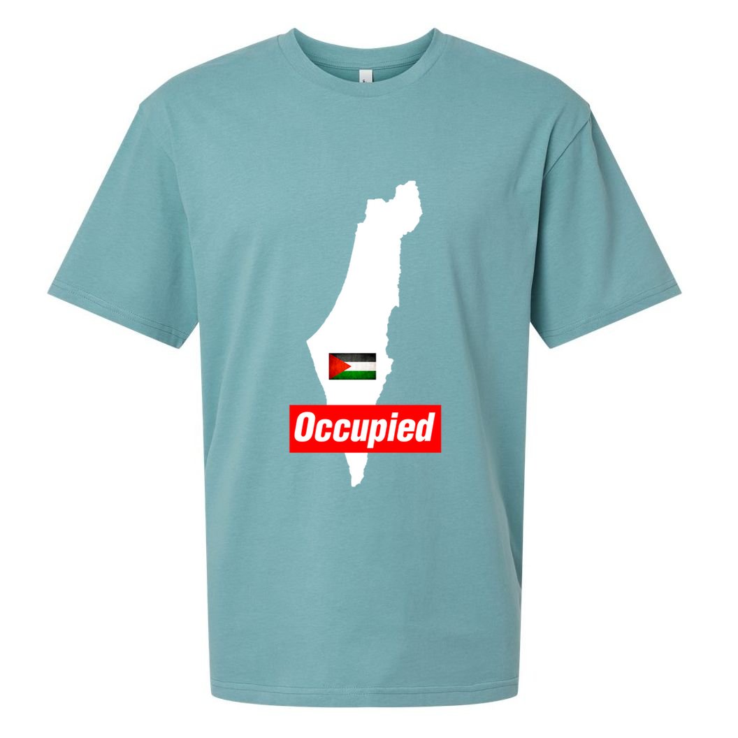 Occupied Palestine Free Gaza Funny Gift Sueded Cloud Jersey T-Shirt