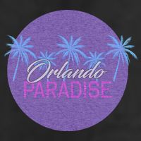 Orlando Paradise Icon Adult Drive Performance Visor