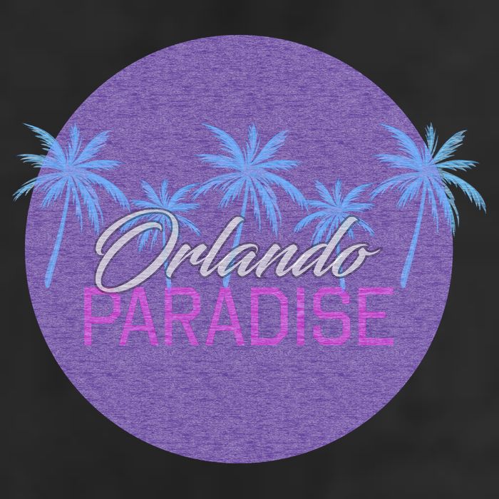 Orlando Paradise Icon Adult Drive Performance Visor