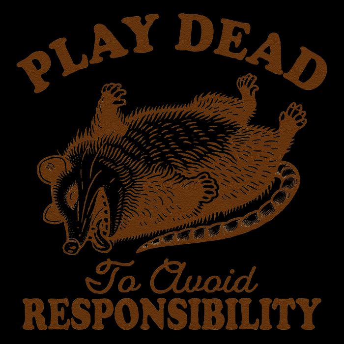 Opossum Possum Lover Play Dead To Avoid Responsibility Wool Snapback Cap