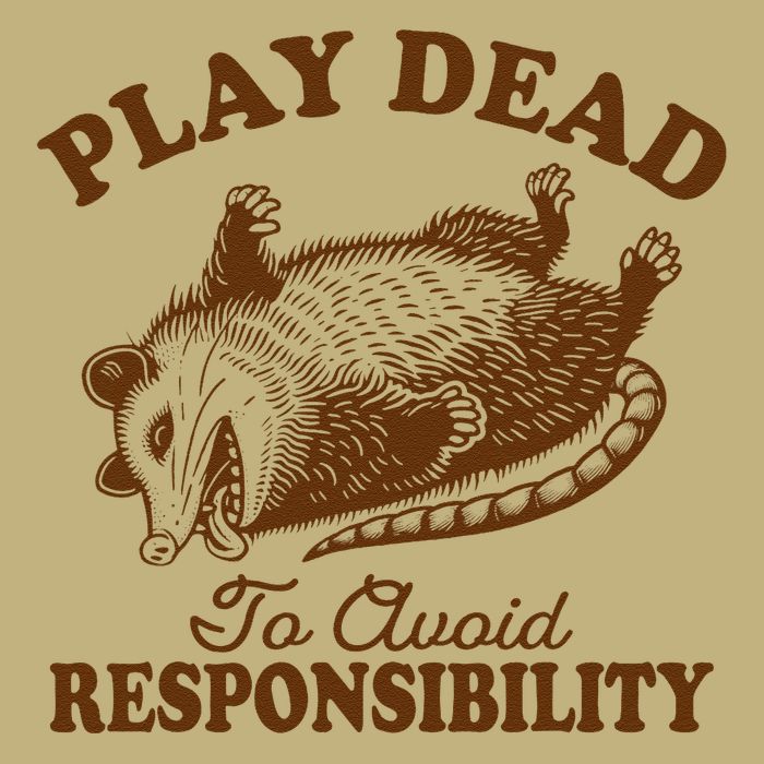 Opossum Possum Lover Play Dead To Avoid Responsibility Mousepad
