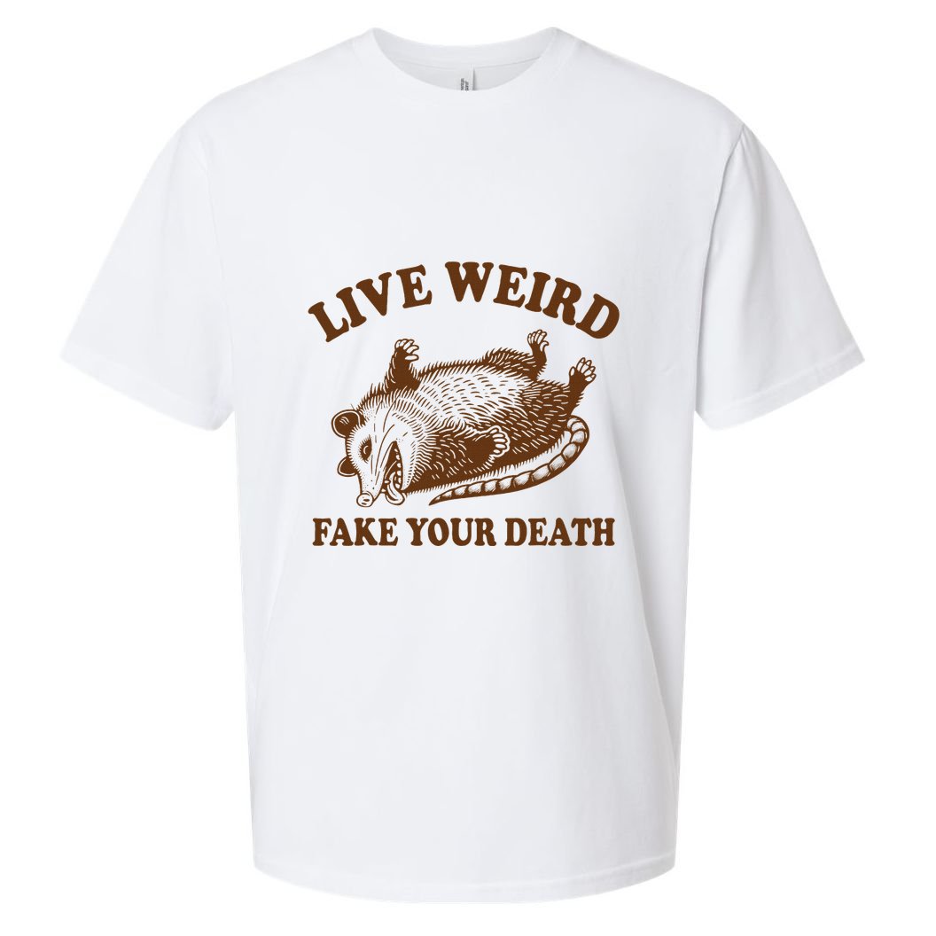 Opossum Possum Lover Live Weird Fake Your Death Sueded Cloud Jersey T-Shirt