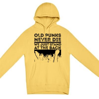 Old Punks Never Die We Just Stand At In The Back Rock Metal Gift Premium Pullover Hoodie