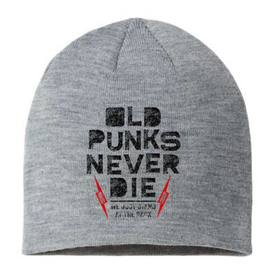 Old Punks Never Die Punk We Stand in the Back Rock Sustainable Beanie