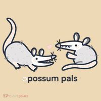 Opossum Pals Zip Tote Bag
