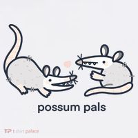 Opossum Pals Button
