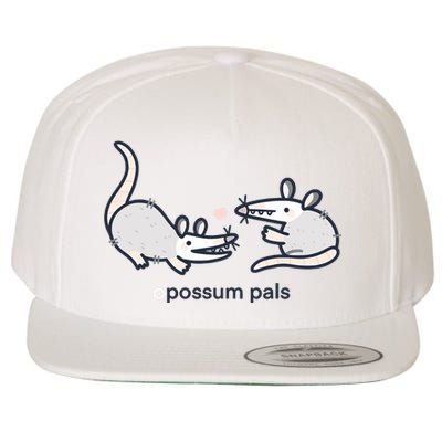 Opossum Pals Wool Snapback Cap