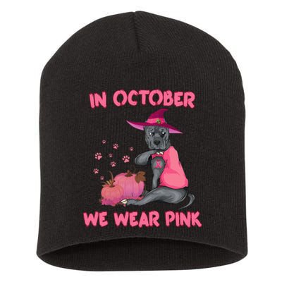 October Pink Pitbull Dog Breast Cancer Awareness Halloween Short Acrylic Beanie