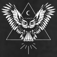 Owl Pyramid Secret Illuminati Owl Tattoo Style Cool Comfort Performance Bucket Hat