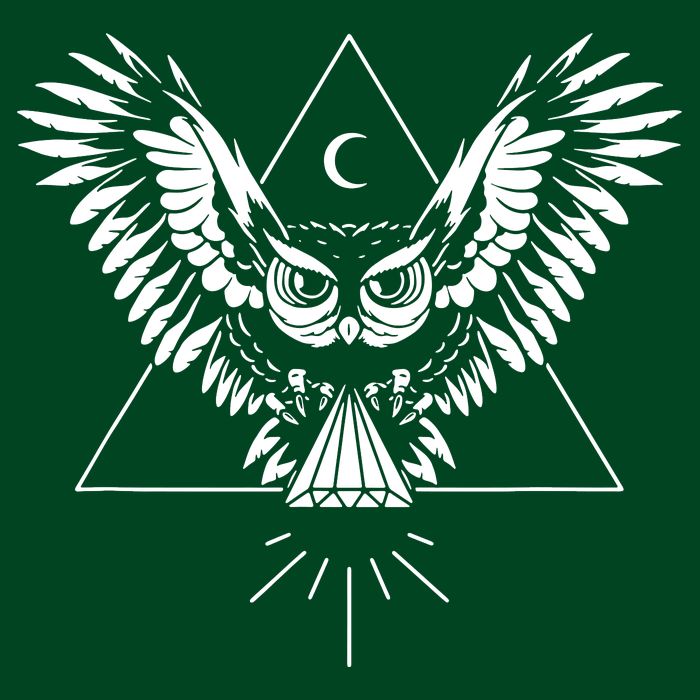 Owl Pyramid Secret Illuminati Owl Tattoo Style Cooling Performance Crew T-Shirt