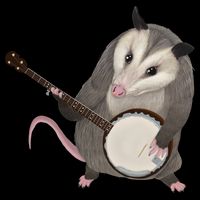 Opossum Playing The Banjo Gift Possum Gift Cooling Performance Crew T-Shirt