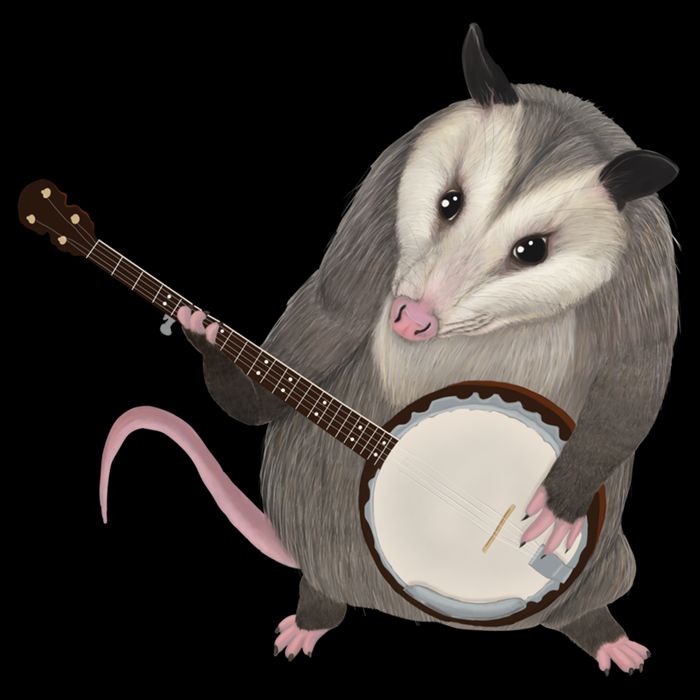 Opossum Playing The Banjo Gift Possum Gift Cooling Performance Crew T-Shirt