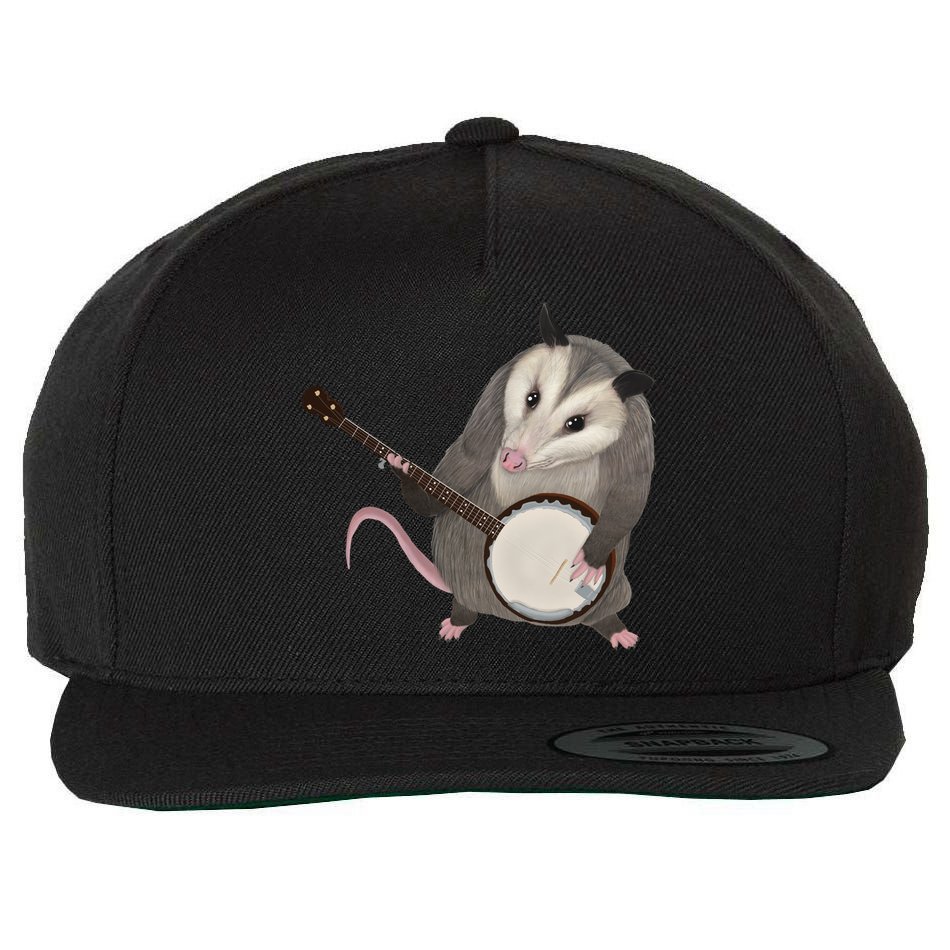 Opossum Playing The Banjo Gift Possum Gift Wool Snapback Cap