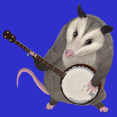 Opossum Playing The Banjo Gift Possum Gift T-Shirt