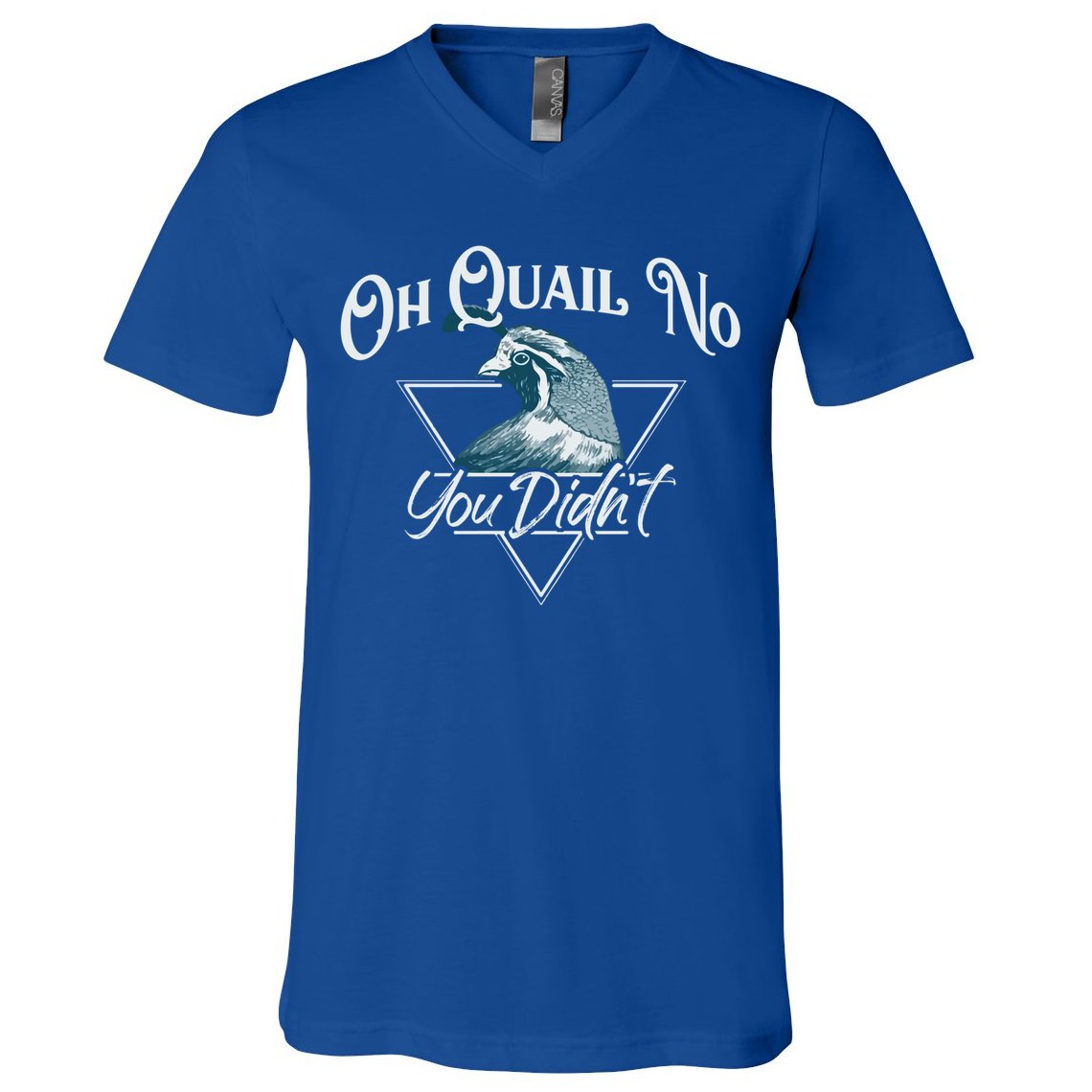 Oh Quail No You Didn't Cute Gift Hunting Quails Hunters Cute Gift Bird Day Funny V-Neck T-Shirt