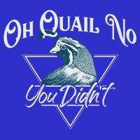 Oh Quail No You Didn't Cute Gift Hunting Quails Hunters Cute Gift Bird Day Funny Visor