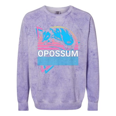 Opossum Retro Colorblast Crewneck Sweatshirt