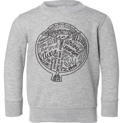 Optometrist Retina Tech Eyeball Anatomy Optician Eye Doctor Toddler Sweatshirt