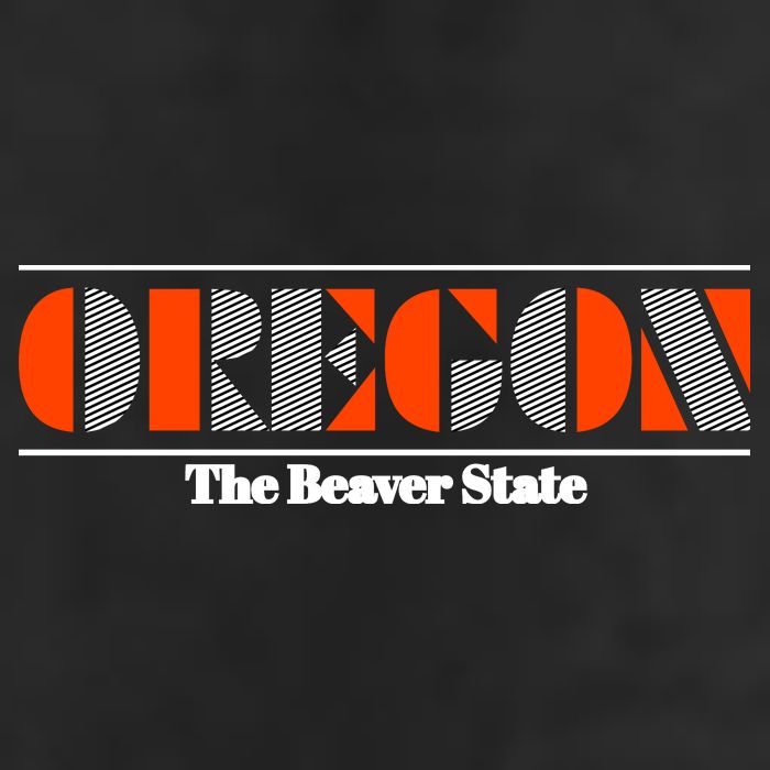 Oregon Retro The Beaver State Logo 15oz Campfire Ceramic Mug