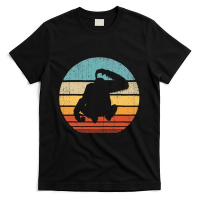 Orangutan Retro Vintage 60s 70s Sunset Mammal Animal T-Shirt