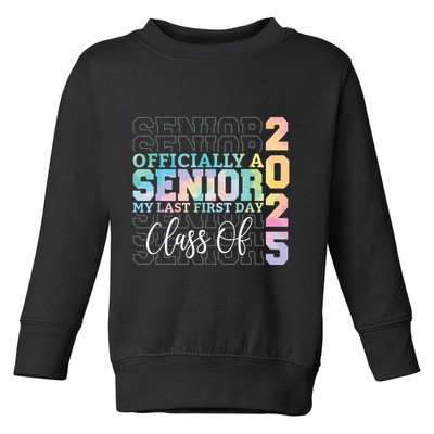 Officially Senior 2025 My Last First Day Class Of 25 Tie Dye Toddler Sweatshirt