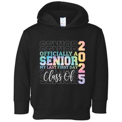 Officially Senior 2025 My Last First Day Class Of 25 Tie Dye Toddler Hoodie
