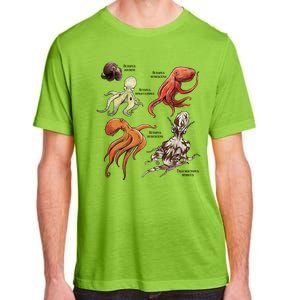 Octopus Sea Animals Species Adult ChromaSoft Performance T-Shirt