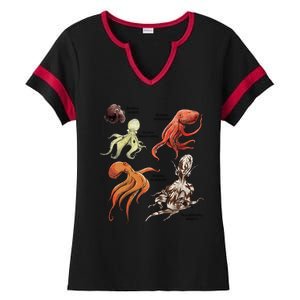 Octopus Sea Animals Species Ladies Halftime Notch Neck Tee