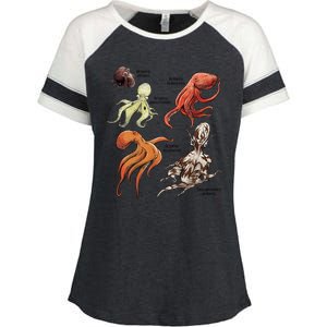 Octopus Sea Animals Species Enza Ladies Jersey Colorblock Tee