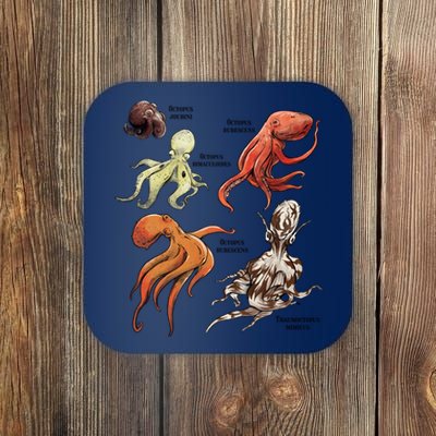 Octopus Sea Animals Species Coaster