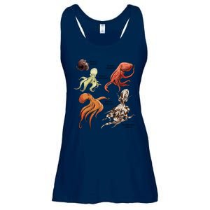 Octopus Sea Animals Species Ladies Essential Flowy Tank