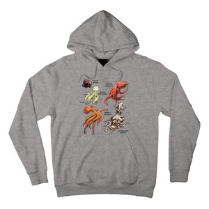 Octopus Sea Animals Species Hoodie