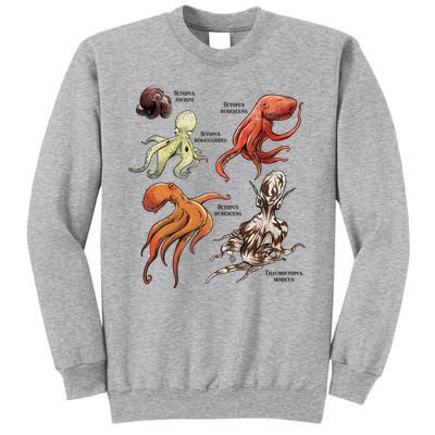 Octopus Sea Animals Species Sweatshirt