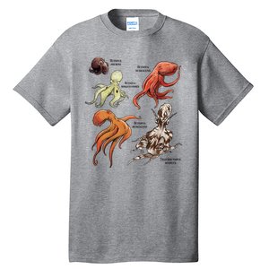 Octopus Sea Animals Species Tall T-Shirt