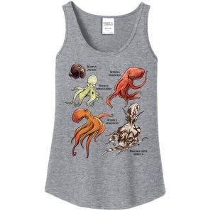 Octopus Sea Animals Species Ladies Essential Tank