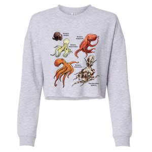 Octopus Sea Animals Species Cropped Pullover Crew