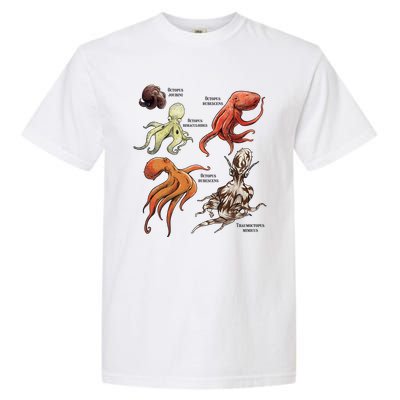 Octopus Sea Animals Species Garment-Dyed Heavyweight T-Shirt