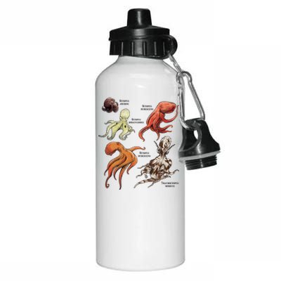 Octopus Sea Animals Species Aluminum Water Bottle 