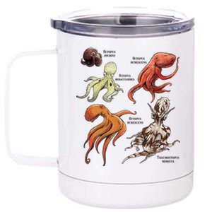 Octopus Sea Animals Species 12 oz Stainless Steel Tumbler Cup