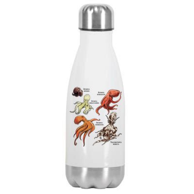 Octopus Sea Animals Species Stainless Steel Insulated Water Bottle