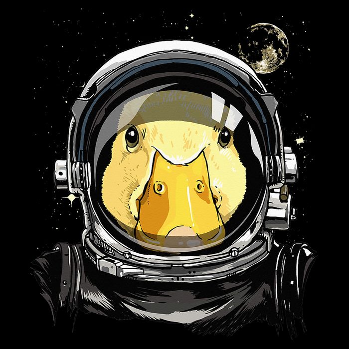 Outer Space Astronaut Duck Face Galaxy Waterfowl Hunting Backpack