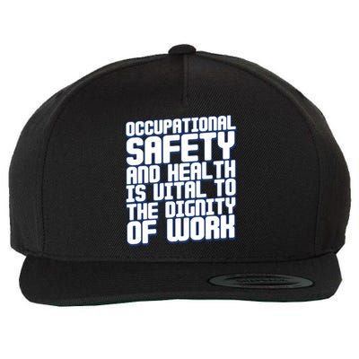 Occupational Safety And Health Is Vital To The Dignity Gift Wool Snapback Cap