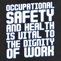 Occupational Safety And Health Is Vital To The Dignity Gift Adult Drive Performance Visor