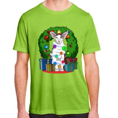 Oriental Shorthair Cat Christmas Tree Xmas Santa Gift Adult ChromaSoft Performance T-Shirt