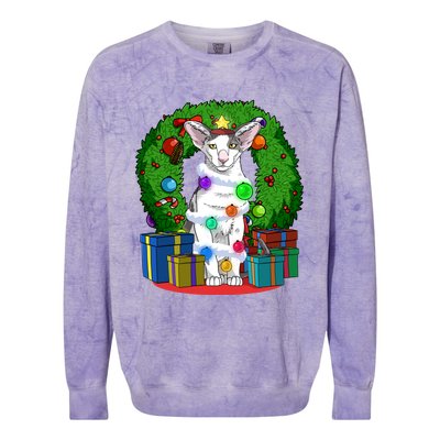 Oriental Shorthair Cat Christmas Tree Xmas Santa Gift Colorblast Crewneck Sweatshirt