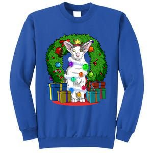 Oriental Shorthair Cat Christmas Tree Xmas Santa Gift Sweatshirt