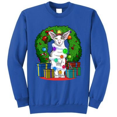 Oriental Shorthair Cat Christmas Tree Xmas Santa Gift Sweatshirt