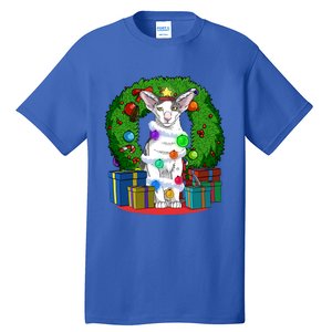 Oriental Shorthair Cat Christmas Tree Xmas Santa Gift Tall T-Shirt